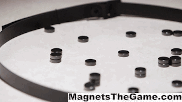 Magnets: The Game