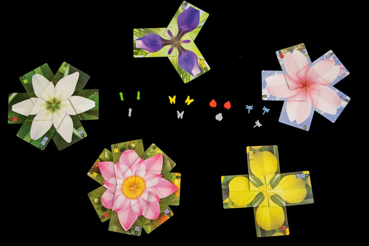 Lotus cards